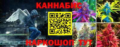 не бодяженный Новозыбков
