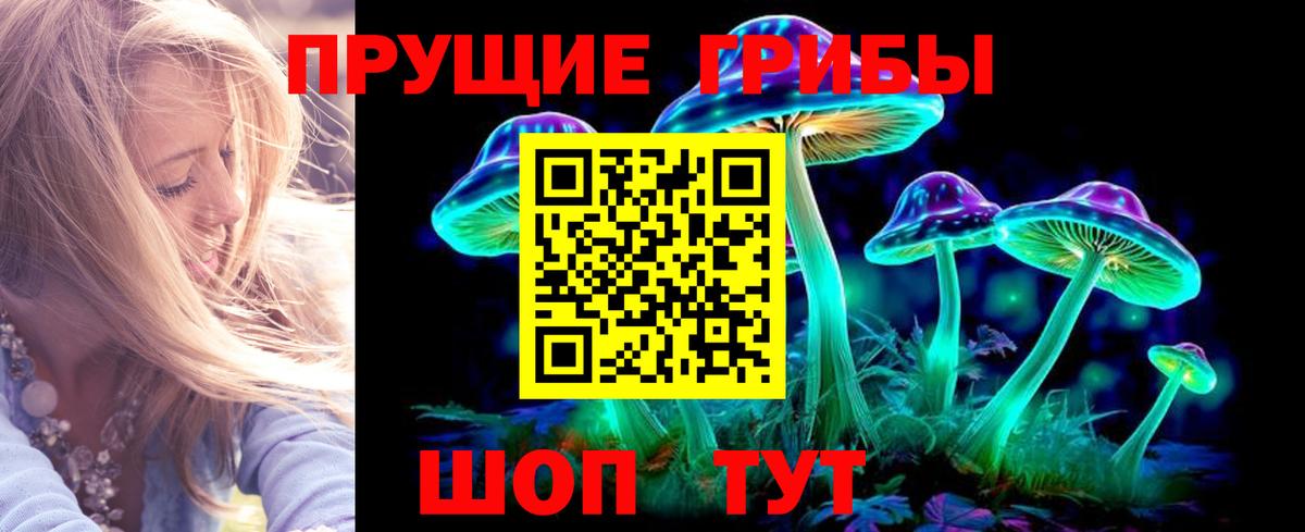 Галлюциногенные грибы Cubensis Чебаркуль
